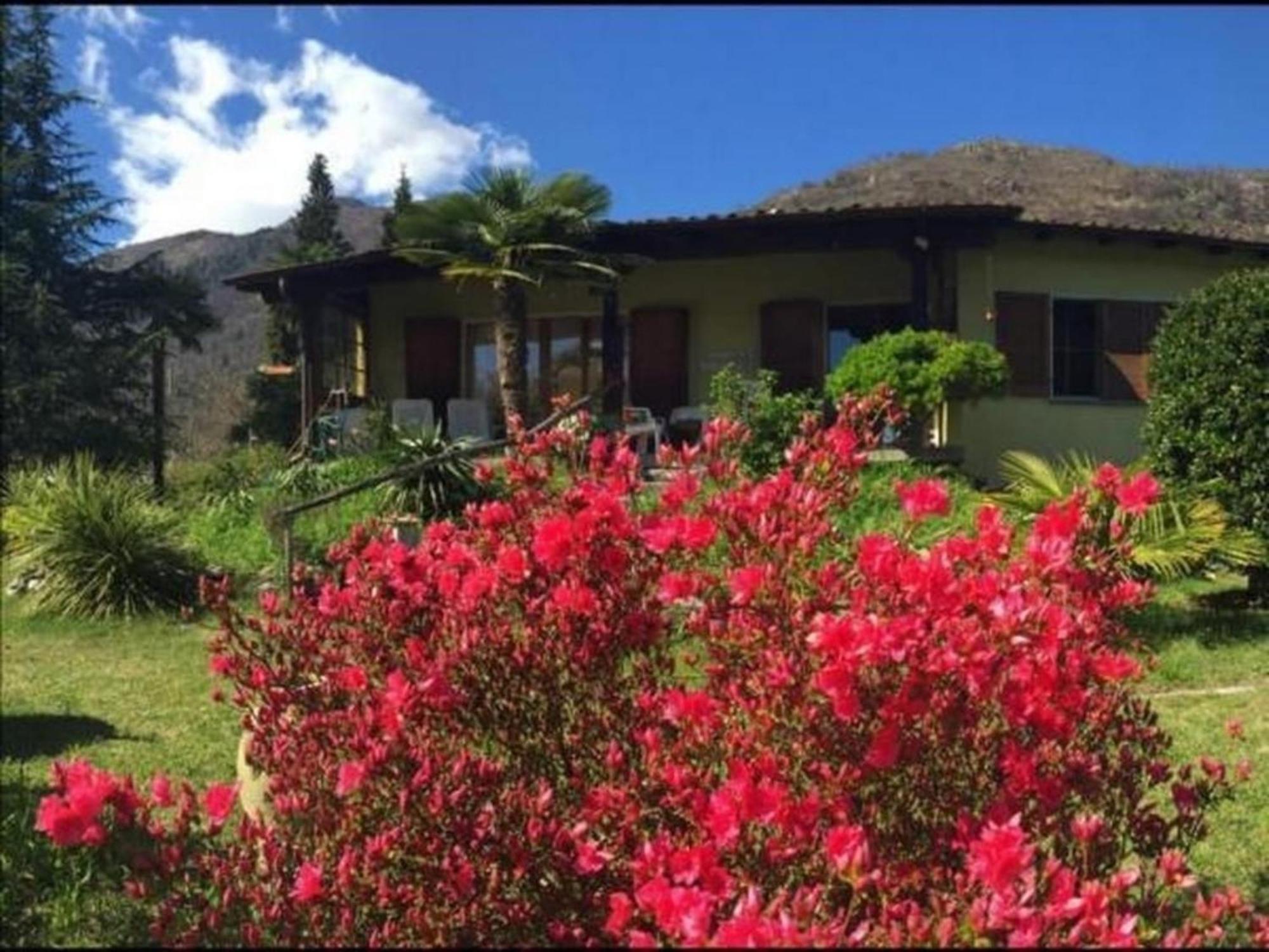 """Casa Elena -Tegna"" Die Ruheoase In Grossem Garten" Eksteriør billede